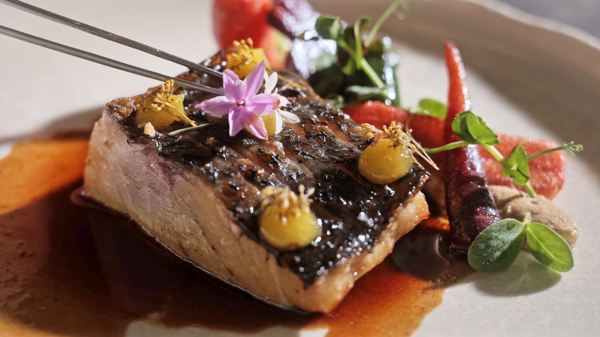 Portfolio Hover Featured Image